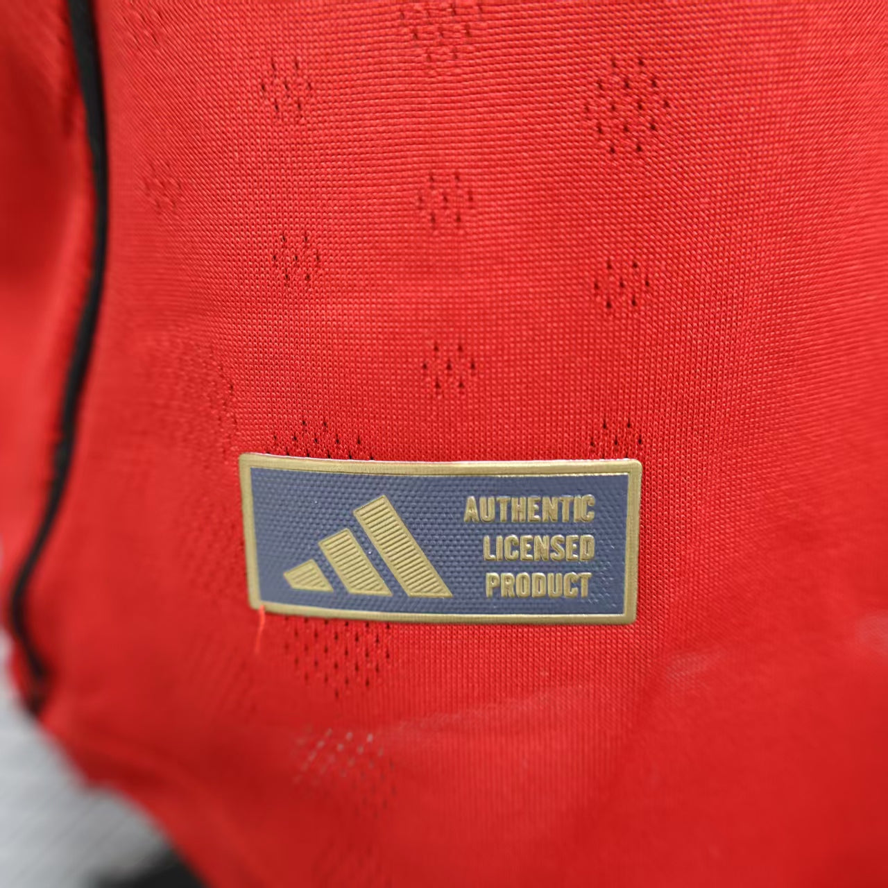 MAILLOT MANCHESTER UNITED DOMICILE 2025/2026